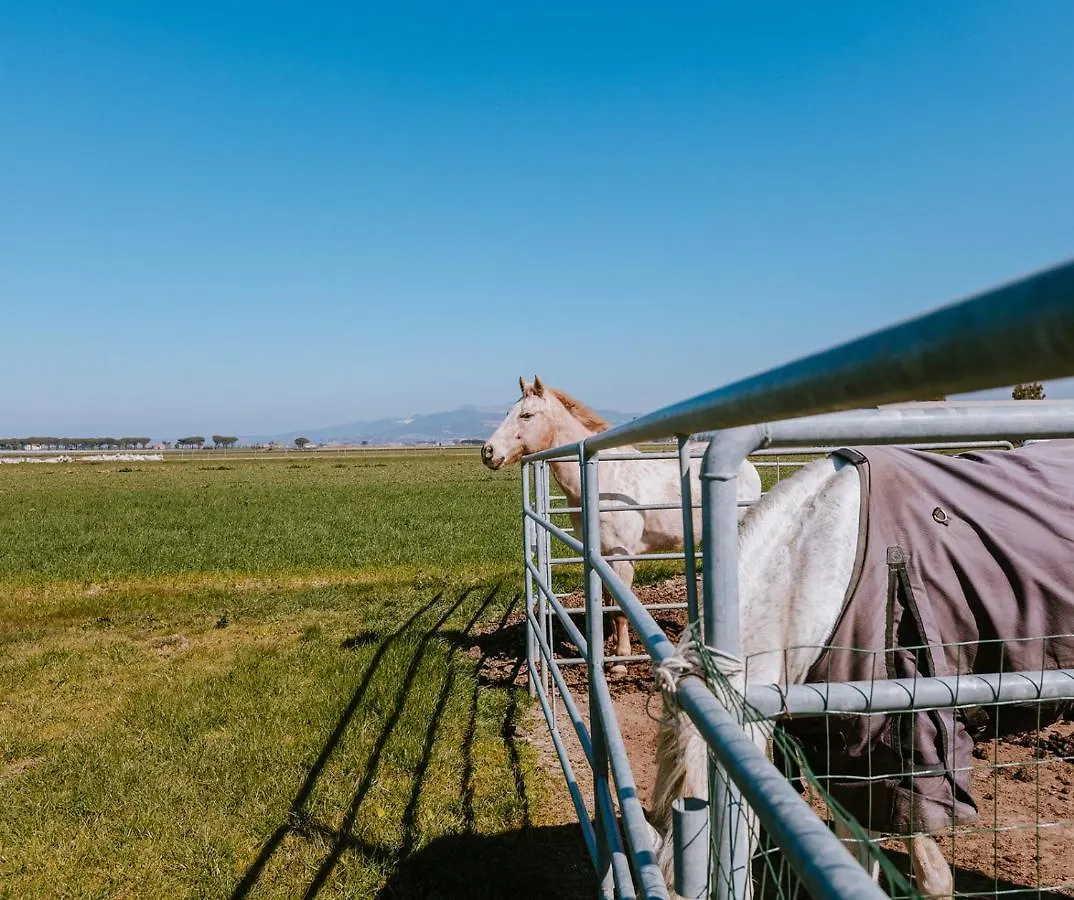 Farm stay Agriturismo Gli Etruschi Villa Populonia