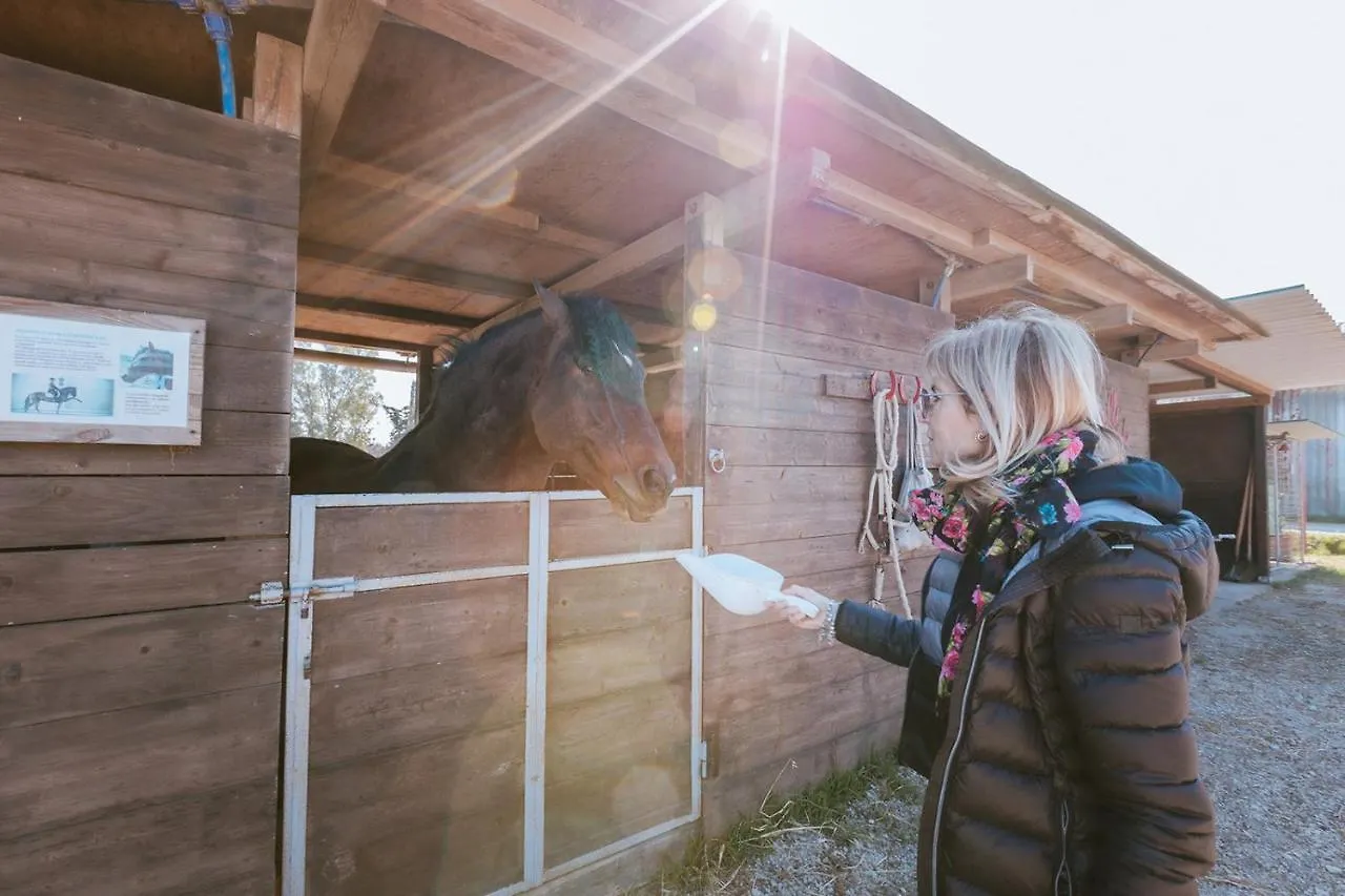 Alloggio per agriturismo Agriturismo Gli Etruschi Populonia