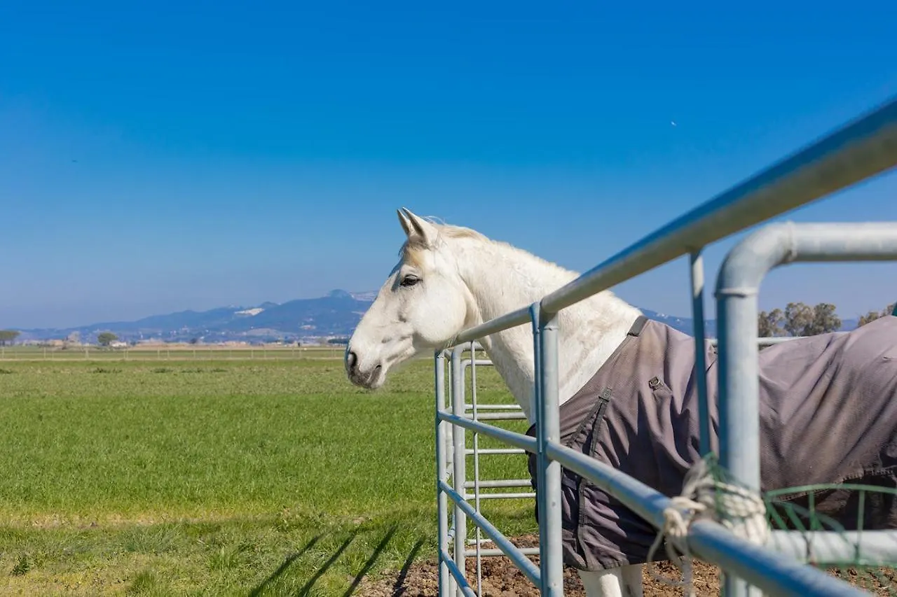 Agriturismo Gli Etruschi Populonia Italie