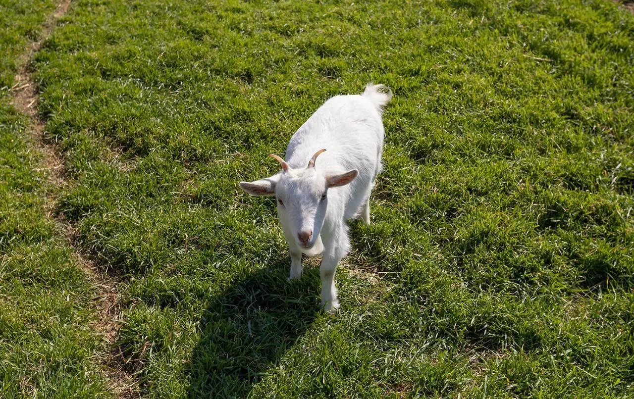 Agriturismo Gli Etruschi Populonia Alloggio per agriturismo
