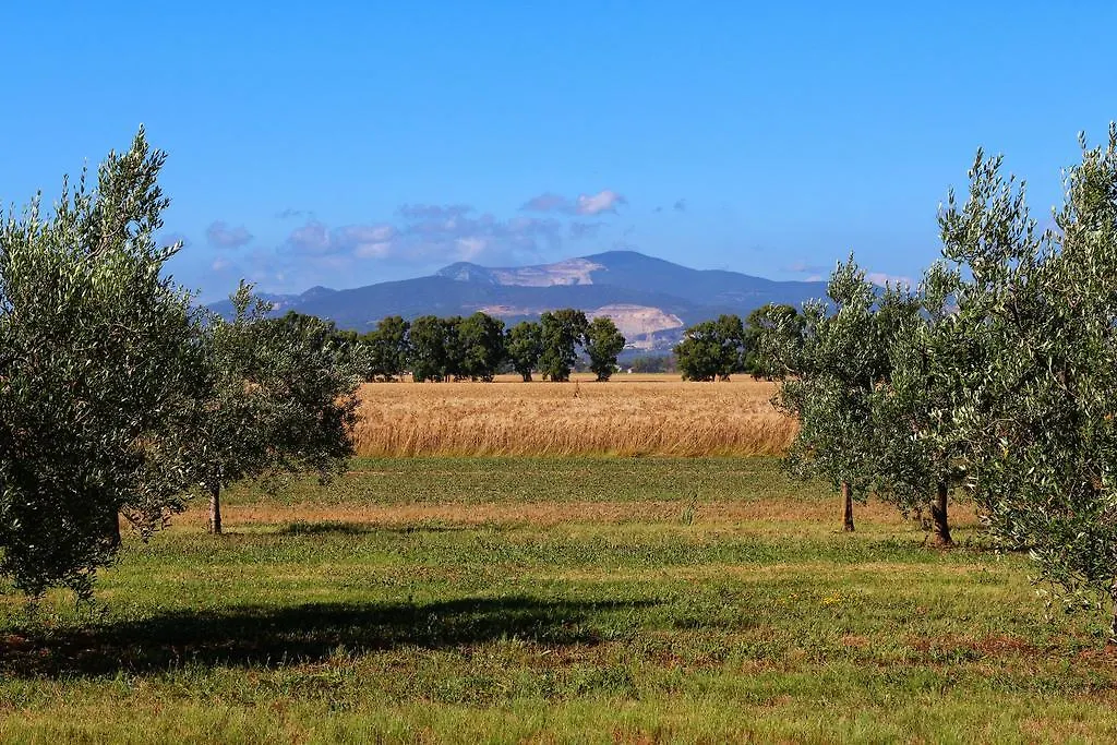 Agriturismo Gli Etruschi Populonia 0*,  Italia