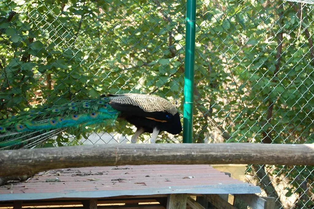 Agriturismo Gli Etruschi Популония Фермерский дом